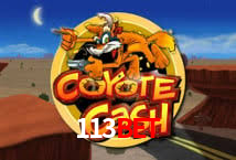 Quick Registration 113bet