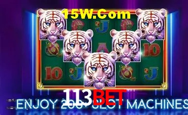 Segurança 2FA 113bet