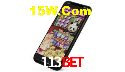 113bet App Interface