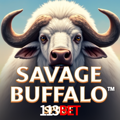 113bet